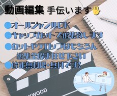 短尺動画の編集をお手伝いします イメージ1