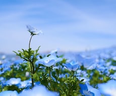あなたに合ったカメラ＆レンズ選びをお手伝いします イメージ1