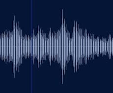 音声データの文字起こしをお手伝いします イメージ1