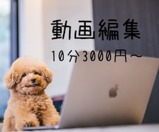 動画のカット・テロップ・SE・BGM入れやります イメージ1
