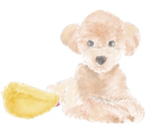 ペットのイラスト描きます イメージ1