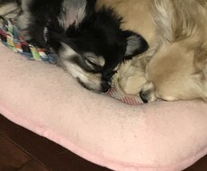 一緒に悩みを解決します イメージ1
