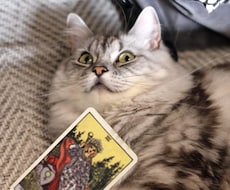 悩みの輪郭、ハッキリさせます イメージ1