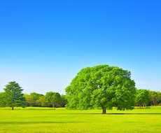 あなたのすべてを受け止めて、全力で応援します イメージ1