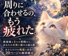 本当の自分を“あなただけの魂猫”から読み解きます イメージ1