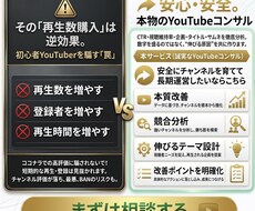 購入満足度100％　チャンネルの成長を支援します 【実績多数】収益化や成長のノウハウをお伝えします。