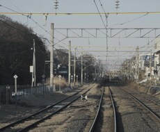 低価格でショート動画の編集を行います イメージ1