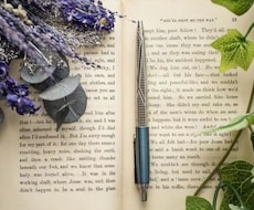 文芸・小説などを英日翻訳します イメージ1