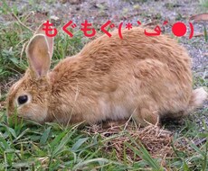 動画や写真への文字入れ、キル集の作成を致します イメージ1