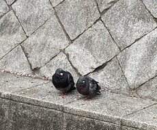 あなたの話、なんでも聴きます イメージ1