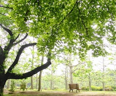 心理カウンセリングを致します イメージ1