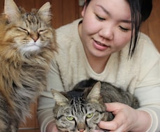 猫さんの相談、悩みお応えします イメージ1