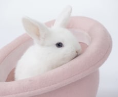 なんでもお伺いします イメージ1