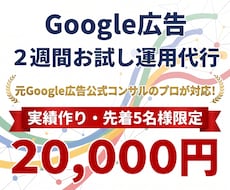 Google広告・リスティング2週間運用代行します 元Google広告公式コンサルのプロが初期設定や運用代行
