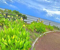 現高校生が500円から相談乗ります イメージ1