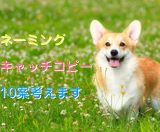 キャッチコピー【10案以上】考えます ココナラ復帰につき限定値下げ★現役コピーライターが考えます★