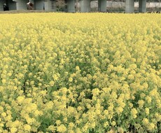 深い恋愛相談承ります イメージ1