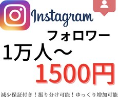 10名様限定】インスタ1万人1500円で増やします 振り分け可能！減少保証付き！ゆっくり増加可能！