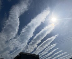 ルノルマンカード占いいたします イメージ1