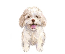 ワクワクかわいいペットの似顔絵描きます イメージ1