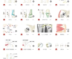 整形外科専門医が医療イラストを描きます イメージ1