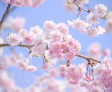 リピーター様用 電話で好きな相手との相談に乗ります 結婚 恋愛 片思い 運命の人 復縁 縁結び 恋愛相談