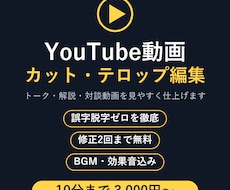YouTube動画のカット・テロップ編集をします イメージ1