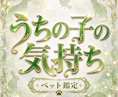 ペットの気持ちを霊視し全てお届けします あの子が何を想い、あなたに何を求めているかお届け