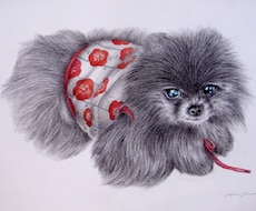 大切な“うちのこ”、お好きな動物お描きします イメージ1