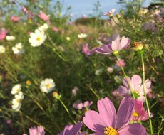 何でもお話し下さい。じっくり聞きます イメージ1