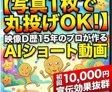 初回1万！写真1枚～で丸投げ！AI動画制作します イメージ1