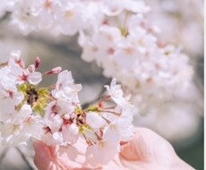 誰か聴いて〜を、ひたすら聞きます イメージ1