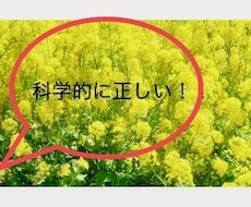 心と体が健康になる方法を具体的に教えます イメージ1