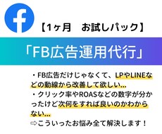 Facebook広告【1ヶ月】運用します 日報・週報・月次レポート・クリエイティブ制作全て込み！