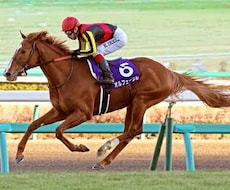 競馬に興味がある方必見！競馬の楽しみ方を教えます イメージ1