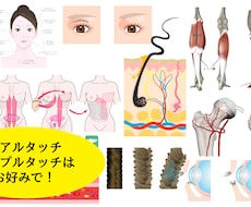 医療用イラスト作成いたします イメージ1