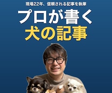 ペット業界22年のプロが犬に関する記事を執筆します 業界の裏側を知るプロが本音で書く犬の記事