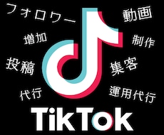 TikTok｜動画制作～集客運用までサポートします トータルサポートから必要な時に必要なサポートまで魂を込めて
