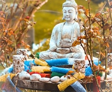 ご先祖様が今あなたに伝えたい事を拝聴しお伝えします 魅綬を介してご先祖様とお話しできるのは今だけ！未体験の鑑定を