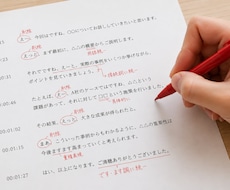逐語録の添削をします イメージ1