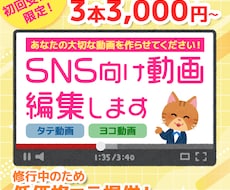まずは3本3,000円～｜SNS向け動画編集します 初回受注の方限定！丁寧な作業には自信があります！