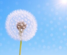 誰にも話せない気持ちお聴きします イメージ1