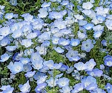 結婚したいなあ〜と思っているあなた連絡待っています イメージ1