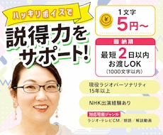 耳に飛び込むハッキリボイス！説得力をサポートします イメージ1