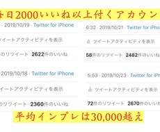 Twitter平均インプ30,000垢で拡散します 平均いいね数2,000↑平均インプレ30,000↑実質宣伝数