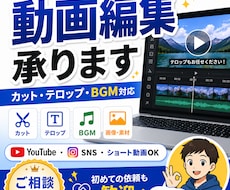 YouTube・SNS向けの動画編集を承ります イメージ1