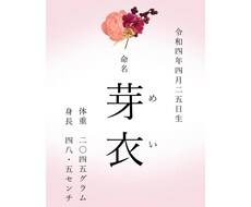 和柄の可愛い命名紙お作りします イメージ1