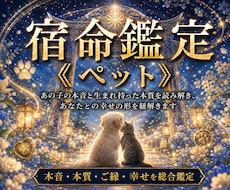 大切なペットの本音とあなたへの想いを読み解きます 愛犬・愛猫・ペットの気持ち・本音・性格・飼い主への想いを視る