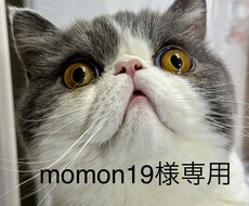 momon19様専用(サブスク1ヶ月)ます イメージ1