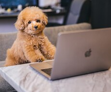 LPのコーディングをさせていただきます イメージ1